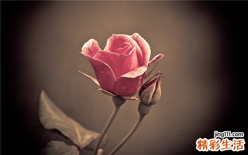 肾亏虚和肾虚有区别吗