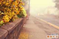 保健品骗局多 老年人需警惕