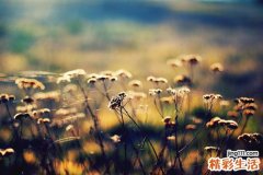 为什么会得精索曲张