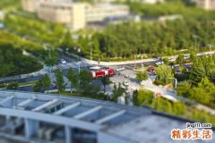 小腿肌肉：表层