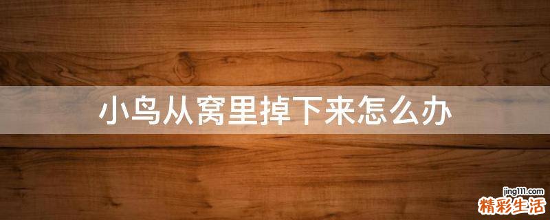 小鸟从窝里掉下来怎么办