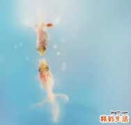 “化繁为简”—早期诊断肝癌