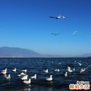肠胃镜做前能进食吗