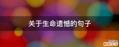 关于生命遗憾的句子