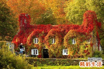 焦虑会影响月经吗