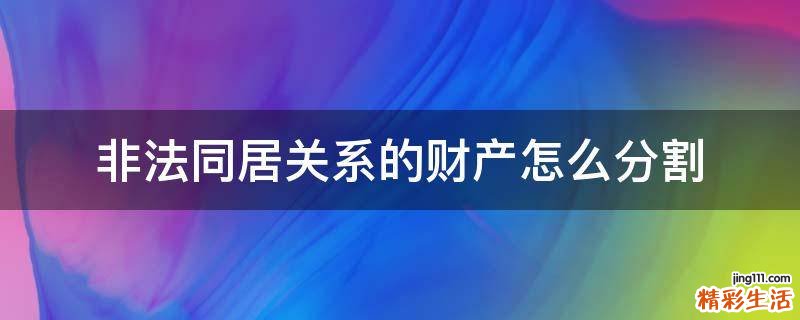 非法同居关系的财产怎么分割