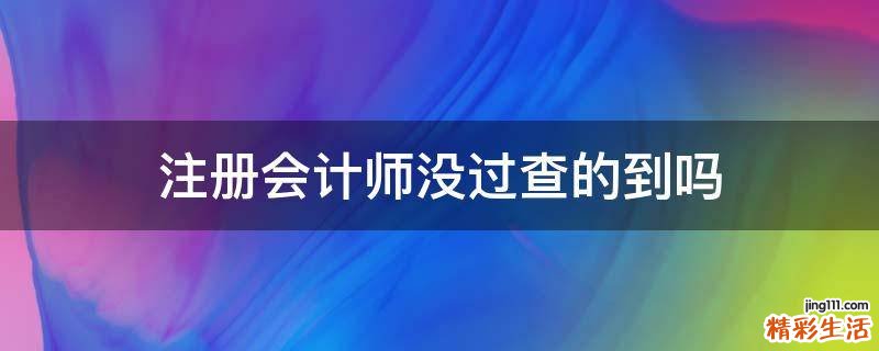 注册会计师没过查的到吗