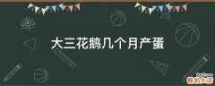 大三花鹅几个月产蛋