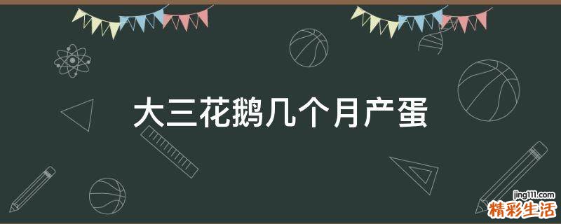 大三花鹅几个月产蛋