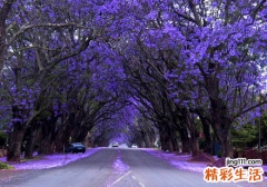 什么是肛肠疾病?