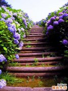 女白领减压掀起暴力热