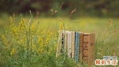 为何有些乙肝患者时常腹泻