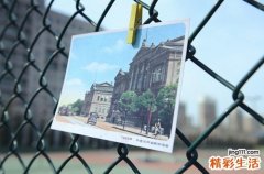 枇杷叶可治慢性咽炎