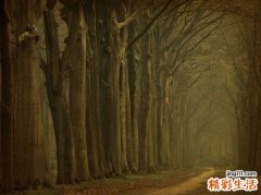 4 玄明粉的功效介绍