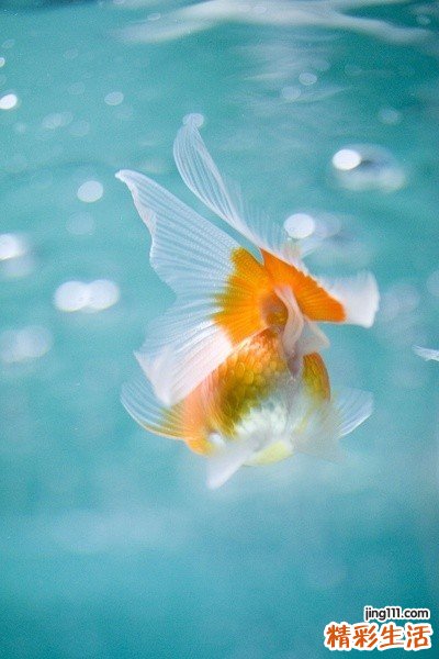 职场妈妈减压五法宝