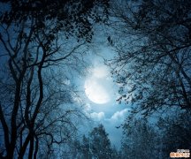 3 维生素A 抗衰老去皱纹