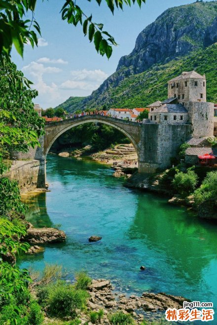 3 虫草花的功效与冬虫夏草的区别