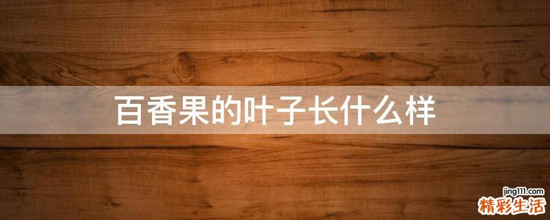 百香果的叶子长什么样