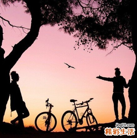 冬虫夏草为什么这么贵