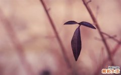 甲肝炎阳性头疼怎么办