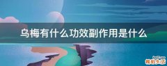 乌梅有什么功效副作用是什么