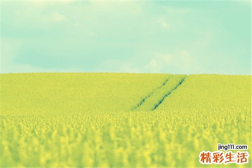 伤风感冒怎样好得快