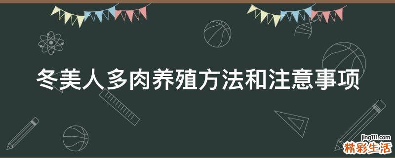 冬美人多肉养殖方法和注意事项