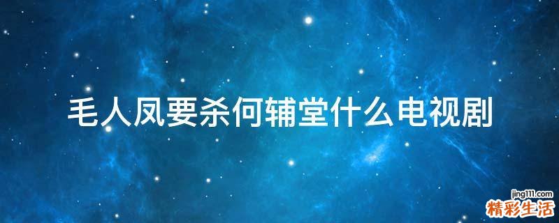 毛人凤要杀何辅堂什么电视剧