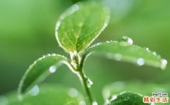 秋季皮肤干过敏怎么办