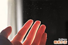 3 糖尿病人的20个护眼食谱