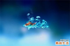 甲氨喋呤注射液说明书