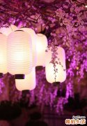 小孩不吃饭怎么办 10个健脾汤让小孩爱上吃饭