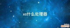 xs什么处理器