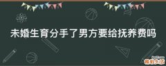 未婚生育分手了男方要给抚养费吗