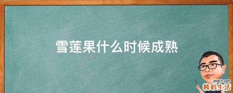 雪莲果什么时候成熟