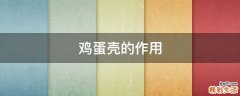 鸡蛋壳的作用