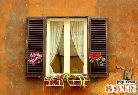 鼻渊通窍颗粒说明书