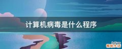 计算机病毒是什么程序