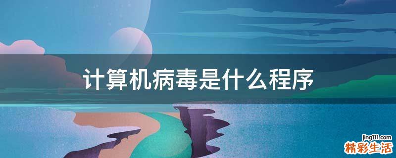 计算机病毒是什么程序