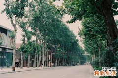 结扎了还能接上吗