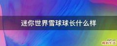 迷你世界雪球球长什么样