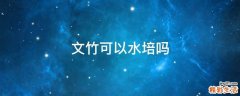 文竹可以水培吗