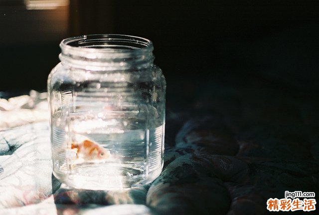 表现为口腔溃疡的病症