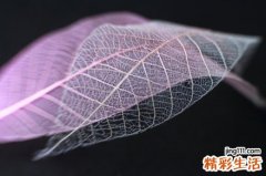 乳腺小结节不能吃什么