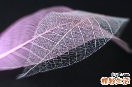 乳腺小结节不能吃什么