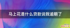 马上花是什么贷款说我逾期了