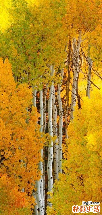 女人如何预防血脂稠的问题