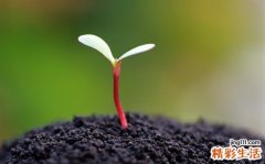 3 孕妇吃什么钙片比较好