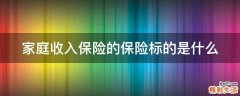 家庭收入保险的保险标的是什么