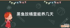 黑鱼放桶里能养几天